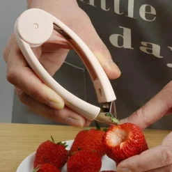 Tom Küche & Esszimmer-Ananasschäler, Erdbeerkernentferner – Obst-Küchenwerkzeuge