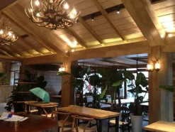 Willow u0026 Whim Beleuchtung-Antique Wooden Antler Wall Light - Rustic Home Decor