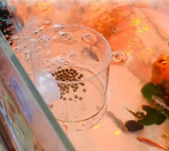 Furry Haven Haustierzubehör|Reinigungswerkzeuge Für Haustiere-Aquarium-Fischfutterspender - Transparentes Saugwerkzeug