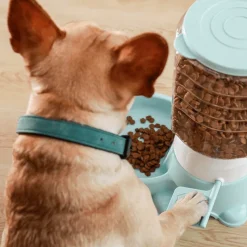 Furry Haven Haustierzubehör|Reinigungswerkzeuge Für Haustiere-Automatischer Futterspender für Haustiere – Interaktiver Futterspender für Hunde und Katzen