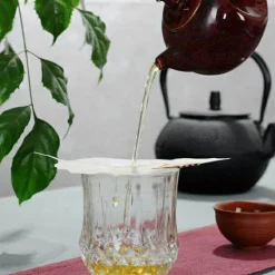 The Cozy Mug Küche & Esszimmer-Bodhi Leaf Tee-Ei-Set – 2 kreative Filter