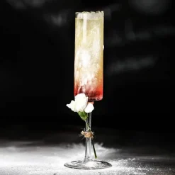 Plates u0026 More Küche & Esszimmer-Bubble Champagnergläser - Kreative Cocktailkelche 2er Set