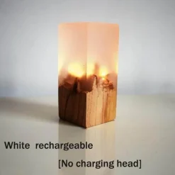 Comfort u0026 Style Beleuchtung-Chargeable LED Night Light - Solid Wood Lamp