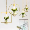 Comfort u0026 Style Beleuchtung-Contemporary Hanging Decorative Lights - Modern Ceiling Fixtures