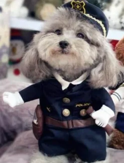 Decor Haustierzubehör-Cop-Hundekostüm – Entzückendes Polizisten-Outfit für Haustiere