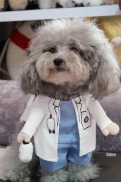 Decor Haustierzubehör-Cop-Hundekostüm – Entzückendes Polizisten-Outfit für Haustiere