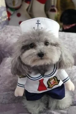 Decor Haustierzubehör-Cop-Hundekostüm – Entzückendes Polizisten-Outfit für Haustiere