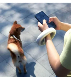 Decor Haustierzubehör-Einziehbare, wiederaufladbare LED-Hundeleine – beleuchtete Haustierleine