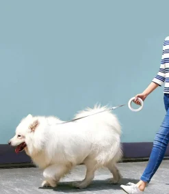 Decor Haustierzubehör-Einziehbare, wiederaufladbare LED-Hundeleine – beleuchtete Haustierleine