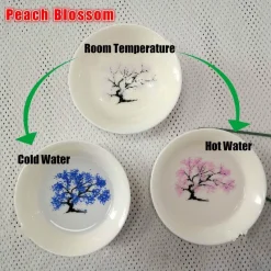 The Decor Haven Küche & Esszimmer-Farbwechselnde Magic Bloom Bowl