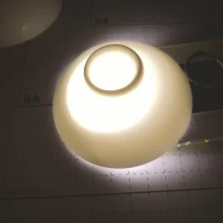 The Decor Haven Küche & Esszimmer-Farbwechselnde Magic Bloom Bowl