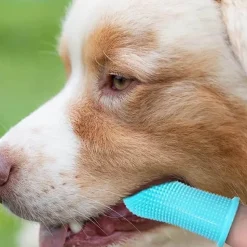 Decor Haustierzubehör|Reinigungswerkzeuge Für Haustiere-Fingerzahnbürste für Haustiere – Zahnpflegewerkzeug für Hunde und Katzen