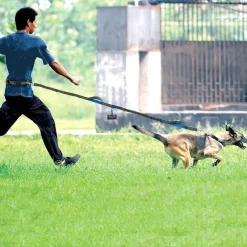 Furendo Haustierzubehör|Reinigungswerkzeuge Für Haustiere-Freihändige Hundeleine – Elastische Taillen-Leine für Haustierbesitzer