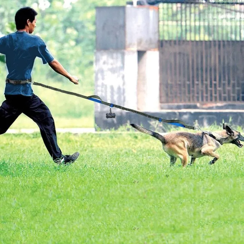 Furendo Haustierzubehör|Reinigungswerkzeuge Für Haustiere-Freihändige Hundeleine – Elastische Taillen-Leine für Haustierbesitzer
