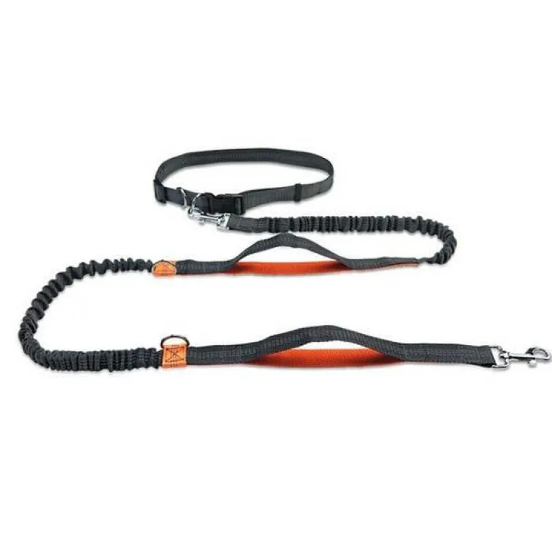 Furendo Haustierzubehör|Reinigungswerkzeuge Für Haustiere-Freihändige Hundeleine – Elastische Taillen-Leine für Haustierbesitzer