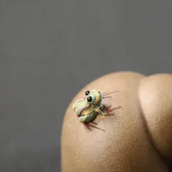 Little Nest Küche & Esszimmer-Frosch-Kung-Fu-Teefiguren – süßes Sammler-Teedekor