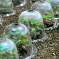 Adventure Basecamp Camping Im Freien|Outdoor-Artikel-Frostschutzabdeckung für den Wintergarten – transparenter Pflanzenschutz