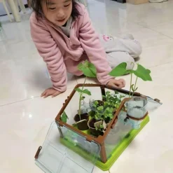 The Decor Haven Babyspielzeug-Gartenset für Kinder – Kreative Mini-Gartenaktivität zum Selbermachen für Kinder