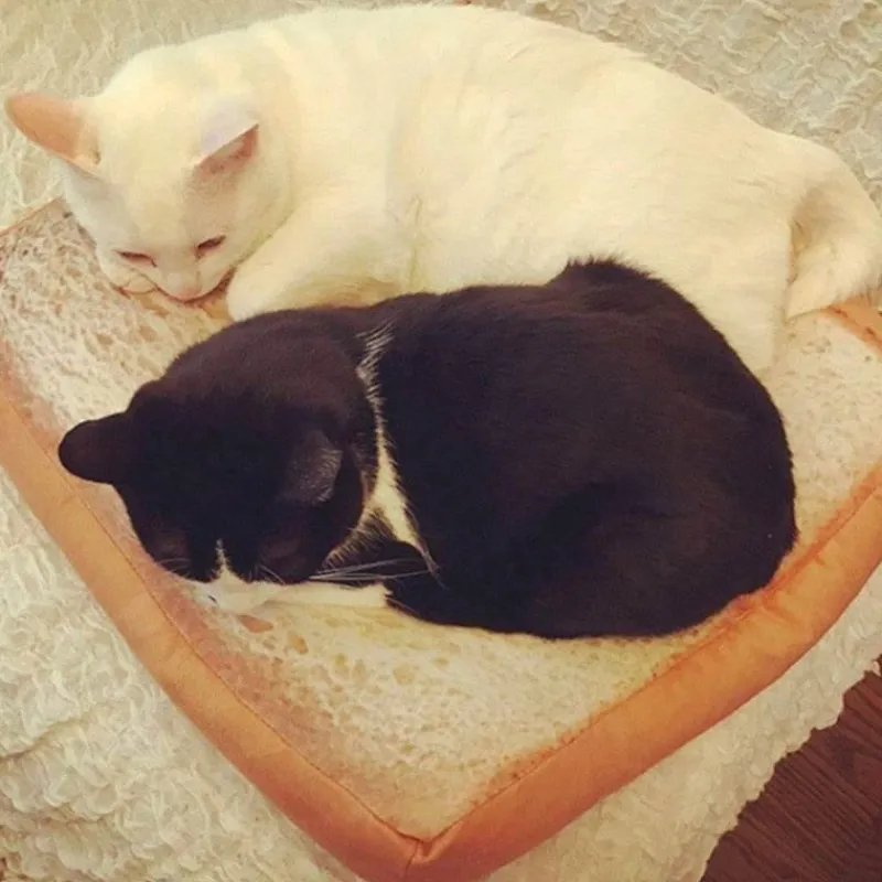 Decor Haustierzubehör|Haustierbetten-Gemütliches Katzenbett – warmes Haustierbett in Brotform