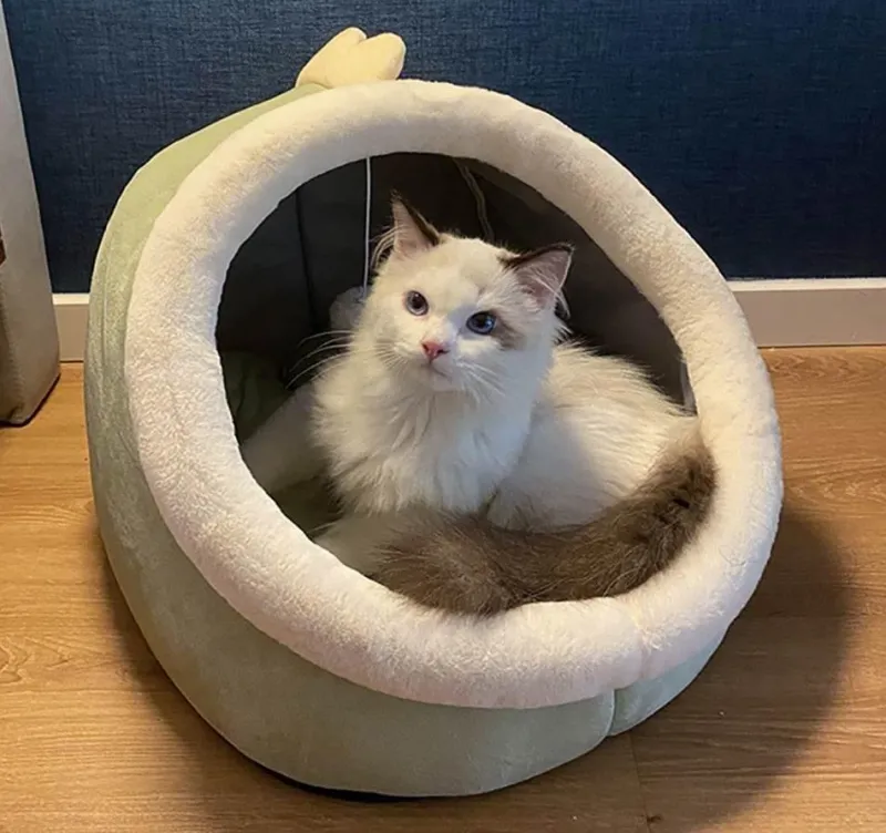 Decor Haustierzubehör|Haustierbetten-Gemütliches, waschbares Haustierhaus – weiches Innenbett für Hunde und Katzen