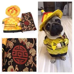 Decor Haustierzubehör-Golden King Hundekostüm - Fantasy Haustier Cosplay Outfit