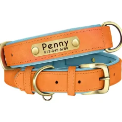 Furendo Reinigungswerkzeuge Für Haustiere|Haustierzubehör-GPS-Haustier-Tracker – Verstellbares Smart-Halsband für Hunde und Katzen