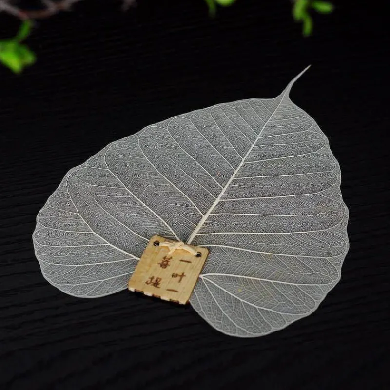 The Cozy Mug Küche & Esszimmer-Großer Teeblattfilter - Extra feines Sieb für losen Tee