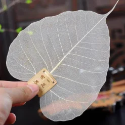 The Cozy Mug Küche & Esszimmer-Großer Teeblattfilter - Extra feines Sieb für losen Tee