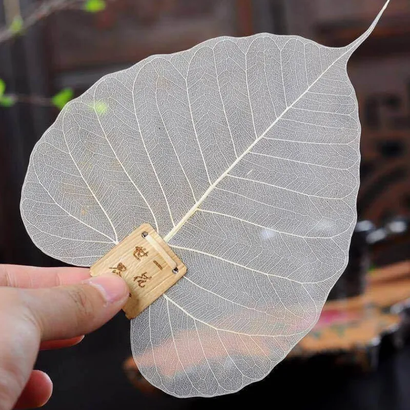 The Cozy Mug Küche & Esszimmer-Großer Teeblattfilter - Extra feines Sieb für losen Tee