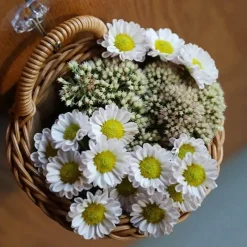 Space Savvy Küche & Esszimmer-Handgefertigter Yama-Korb – stilvolle gewebte Aufbewahrungslösung