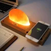 Comfort u0026 Style Beleuchtung-Himalaya-Salzlampe mit kabellosem Ladegerät – LED-Nachtlicht