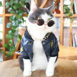 Decor Haustierzubehör-Hundejacke aus Leder – Stilvoller warmer Haustiermantel