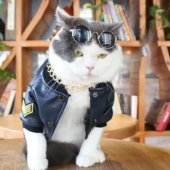 Decor Haustierzubehör-Hundejacke aus Leder – Stilvoller warmer Haustiermantel