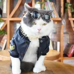 Decor Haustierzubehör-Hundejacke aus Leder – Stilvoller warmer Haustiermantel