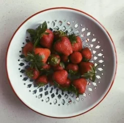 The Culinary Kit Küche & Esszimmer-Intelligentes Abtropftablett für Obst und Gemüse – Effizientes Küchenwerkzeug für frische Produkte