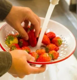 The Culinary Kit Küche & Esszimmer-Intelligentes Abtropftablett für Obst und Gemüse – Effizientes Küchenwerkzeug für frische Produkte