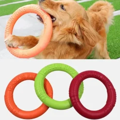 TailTrend Haustierzubehör|Reinigungswerkzeuge Für Haustiere-Interaktive Hunde-Frisbee - Lustiges Outdoor-Spielzeug für Haustiere