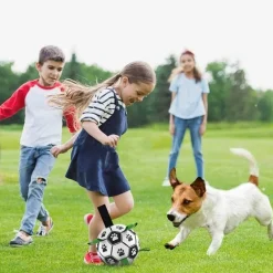 TailTrend Haustierzubehör|Haustierspielzeug-Interaktiver Trainingsball für Haustiere – Intelligentes Hundespielzeug für Katzen und Hunde