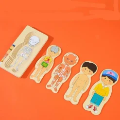 The Decor Haven Babyspielzeug-Interaktives Anatomiemodell - Pädagogisches Spielzeug für den menschlichen Körper