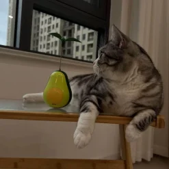 TailTrend Haustierspielzeug-Interaktives Avocado-Wackler-Katzenspielzeug – Spannender 3-in-1-Spaß für Ihren Stubentiger
