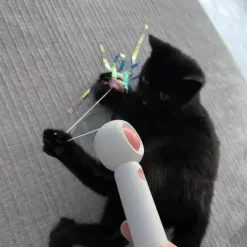 TailTrend Haustierspielzeug-Interaktives einziehbares Katzenspielzeug – spannender Spaß für Ihren Stubentiger