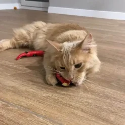 TailTrend Haustierspielzeug-Interaktives Katzenspielzeug mit intelligentem Sensor – Spannendes Schlangenspielzeug für Katzenspaß