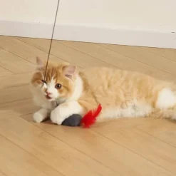 TailTrend Haustierspielzeug-Interaktives Katzenspielzeug für spannendes Spielen. Stimulieren Sie die Neugier Ihrer Katze.
