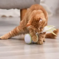 TailTrend Haustierspielzeug-Interaktives Katzenspielzeug – Spannendes Miau-Spiel für spaßige Spielstunden