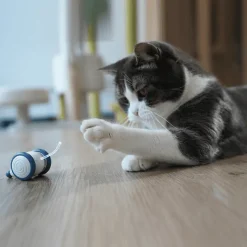 TailTrend Haustierspielzeug-Interaktives Pixie-Maus-Spielzeug – lustiger und verspielter Begleiter für Kinderabenteuer