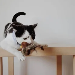 TailTrend Haustierspielzeug-Interaktives Vogel-Katzenspielzeug – Teaser für neugierige Katzen