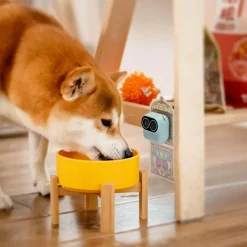 Comfort u0026 Style Haustierzubehör|Reinigungswerkzeuge Für Haustiere-Kabellose Heimsicherheitskamera – Intelligentes Überwachungssystem