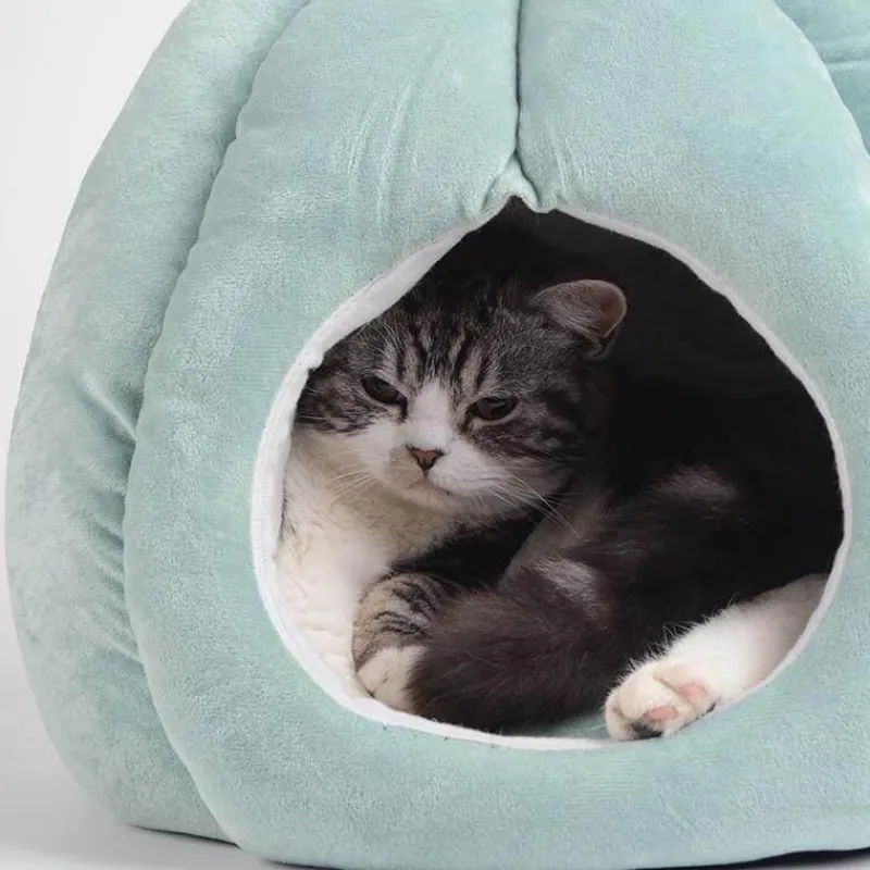 Decor Haustierzubehör|Haustierbetten-Kaktus-Katzenbett – Gemütliches Haustierbett für Katzen