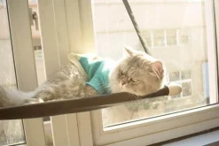 Decor Haustierzubehör-Katzenhängematte – bequemes hängendes Haustierbett