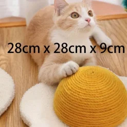 TailTrend Haustierzubehör|Haustierbetten-Katzenkratzbrett - Eier-Karotten-Design